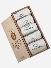 Подарочный набор термоносков для мужчины зимние теплые Лео Canada в деревянной шкатулке 5 пар, 40-42р серые