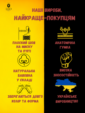 Набір чоловічих шкарпеток високих бавовняних Leo Protection махра 40-42 6 пар Чорно-жовтий