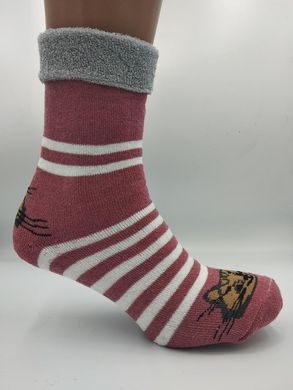 Шкарпетки жіночі махра відворот котики асорті, ассорти
